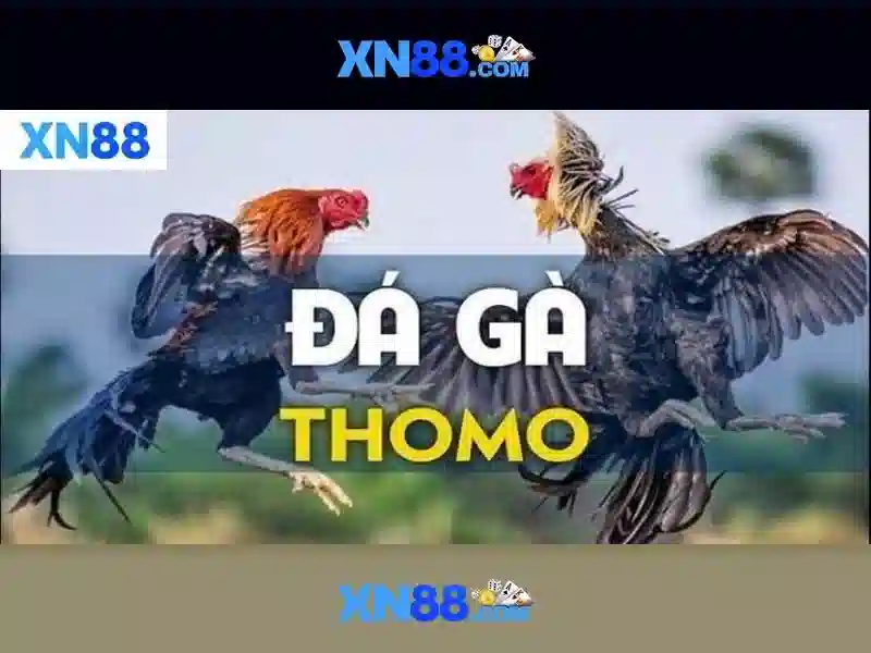 💎bongdatructiep kèo nhà cái💎