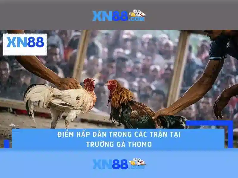 💎coi bóng đá trực tiếp nhà cái💎