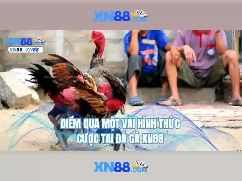 💎đăng ký sin88💎 - hình ảnh của sin88 - sin88 taem