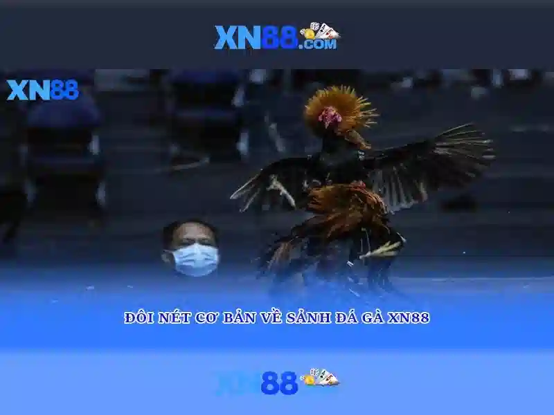 💎kèo nhà cái 88 io💎