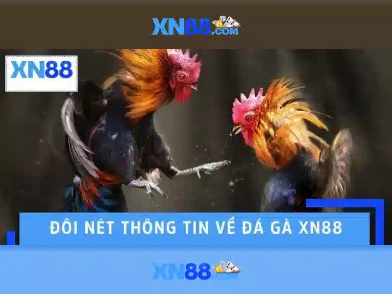 💎g2g slot bet💎