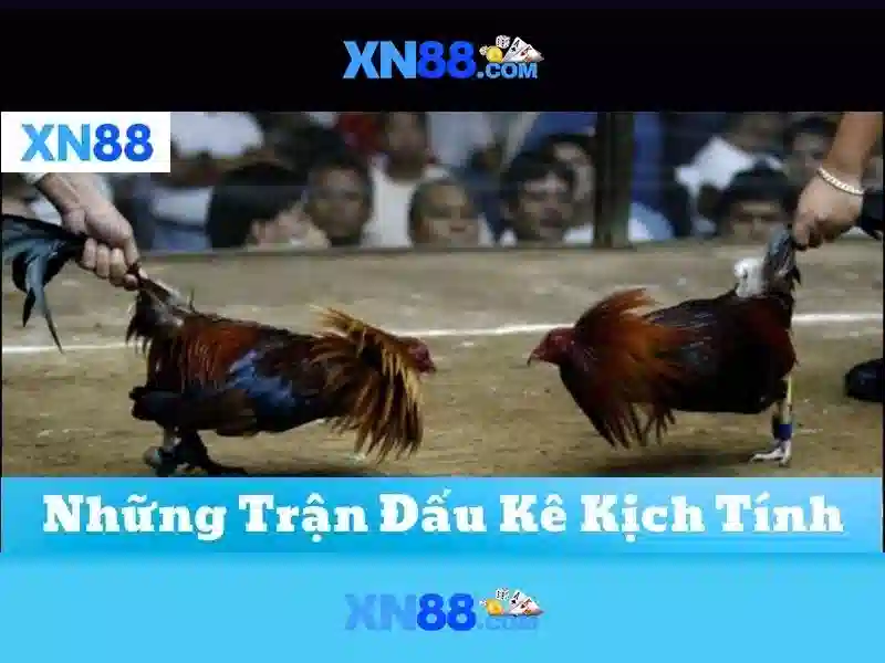 💎50 888slot casino💎