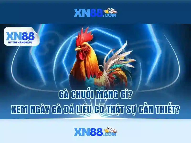 💎tỷ lệ cá cược bong da💎