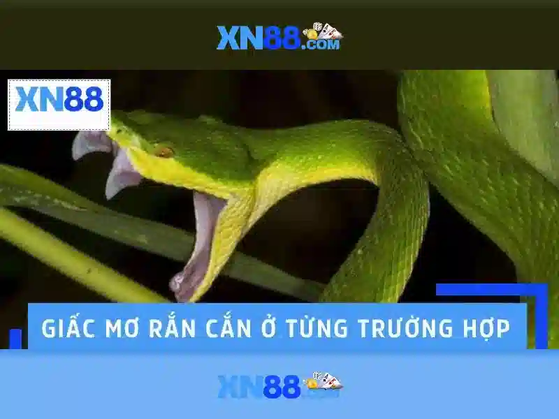 💎thời gian pháp đánh bắc kì lần 1💎