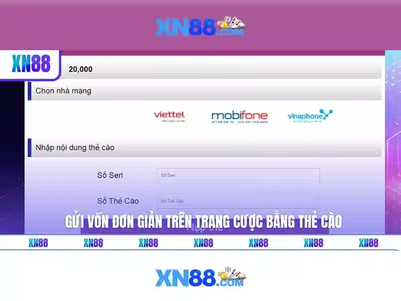 💎xử phạt hành vi tổ chức đánh bạc💎