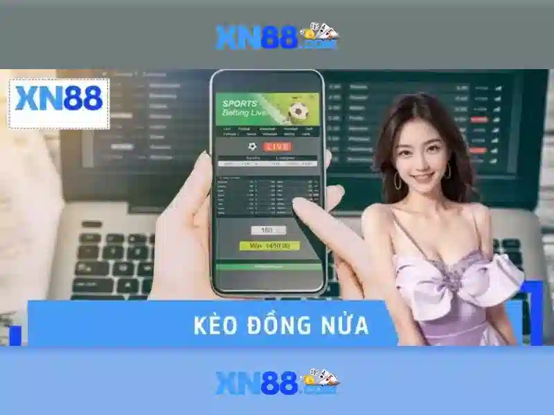điều khoản điều kiện - XN88