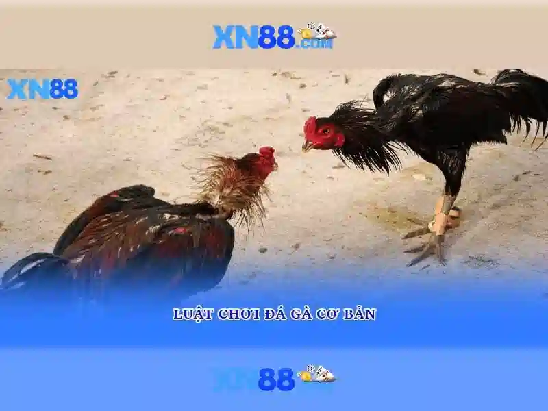 💎888slot demo slot💎