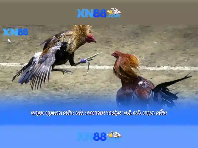 💎kèo nhà cái morocco croatia💎