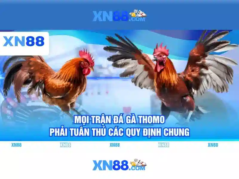 💎báo giá cải tạo nhà tpny💎