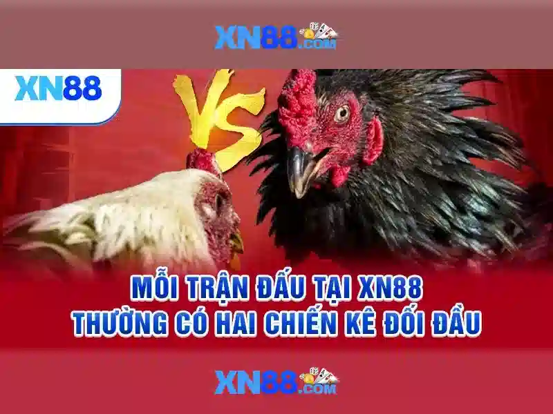  nổ hũ XN88 - XN88