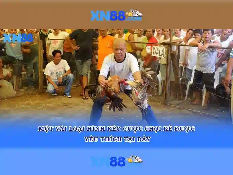 Chính sách bảo mật XN88: Môi trường cá cược an toàn và uy tín - XN88