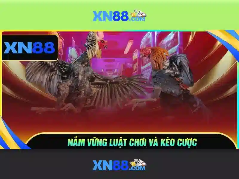 💎tội đánh bạc theo khoản 2 điều 321 blhs💎