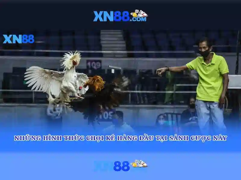 💎top 10+ trang cá cược💎