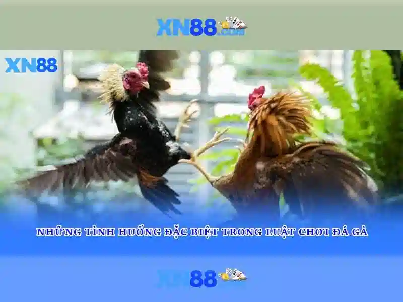 💎app cá cược đá banh h-ngm-n💎