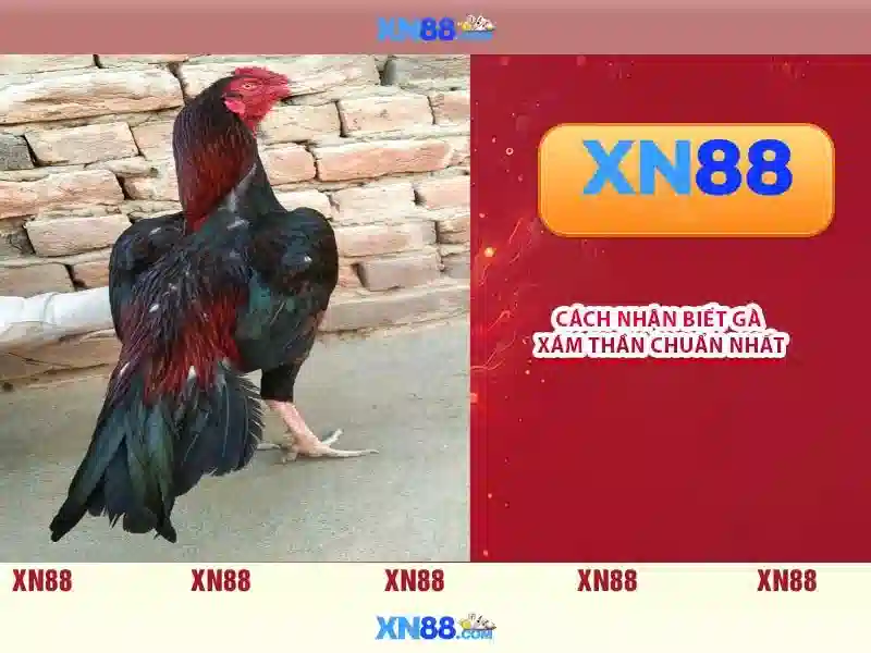 💎cá cược mộc khẩu ngân convert💎
