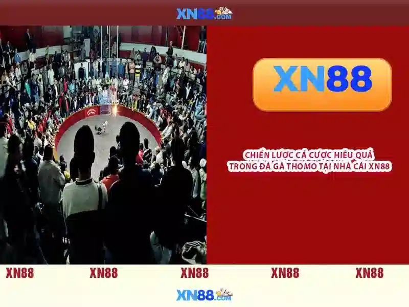  tải ứng dụng XN88 - XN88