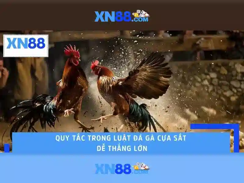 💎keo nha cai 5 de💎