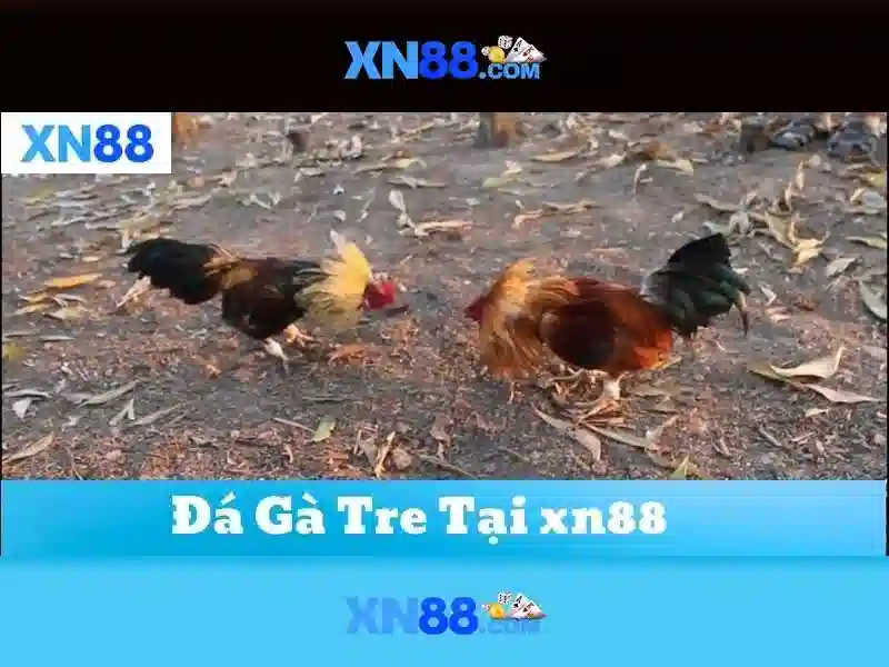 💎san manuel slot machines💎