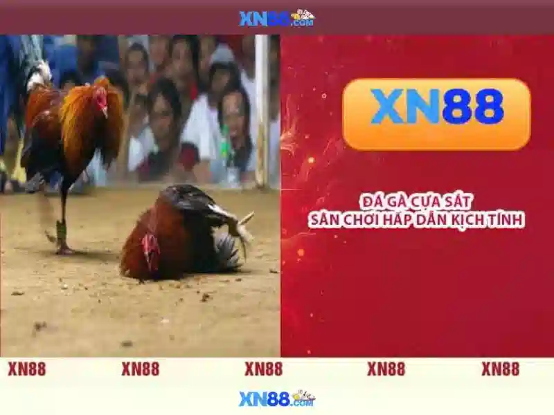 💎888slot gaming myanmar💎