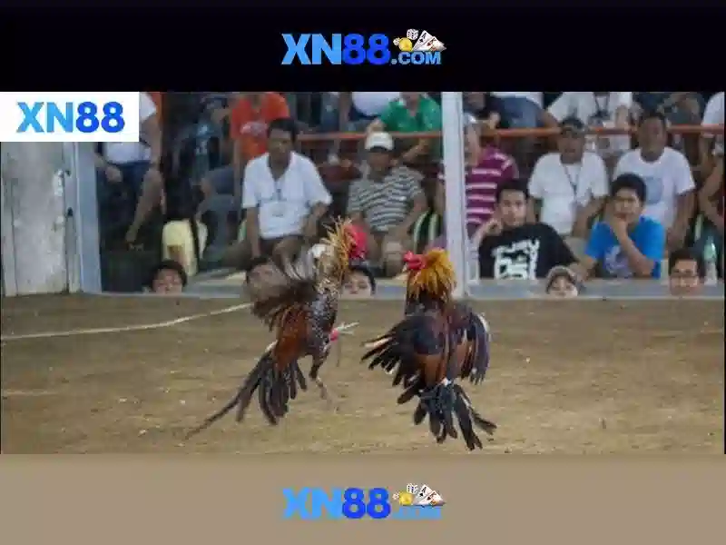 💎slots at vegas💎