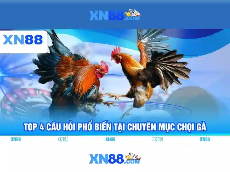 💎khoản 1 tội tổ chức đánh bạc💎