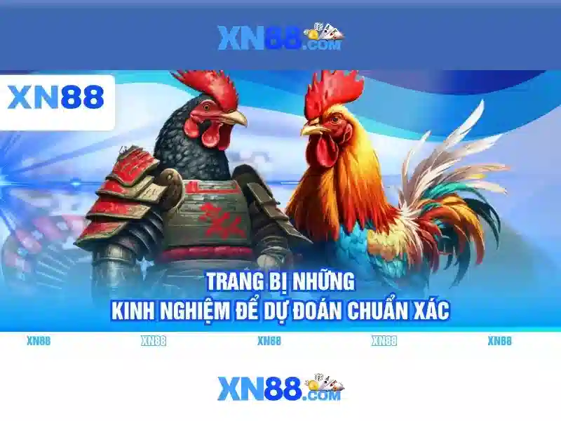HƯỚNG DẪN - XN88 WIN | 188V 2026 - XN88