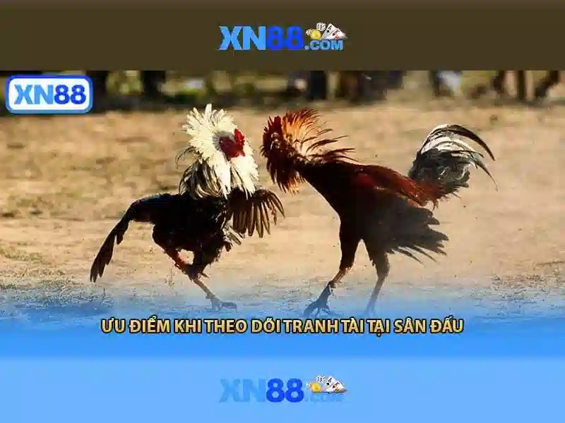 💎xem bong da trực tiếp keo nha cai💎