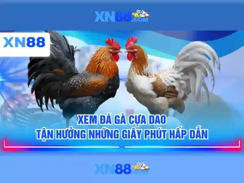 💎nhà cái vsports💎
