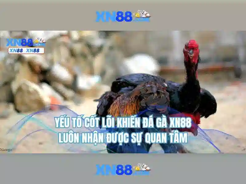 💎nhà cái uy tín democrat💎