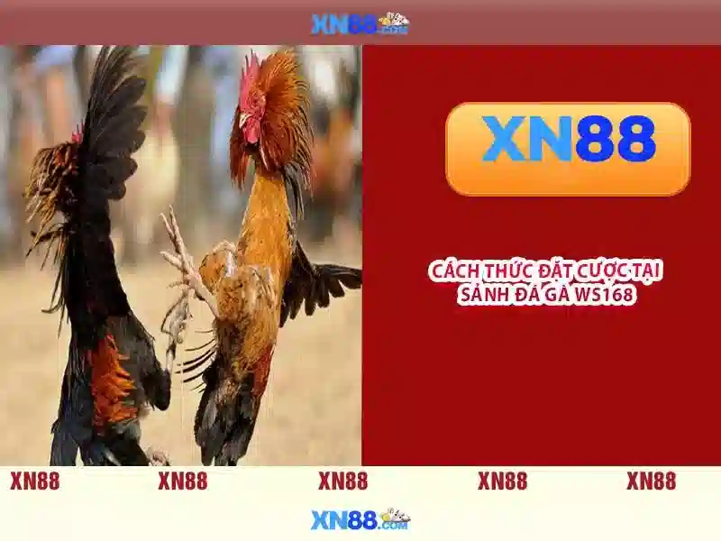 💎link xem bong da hom nay keo nha cai💎