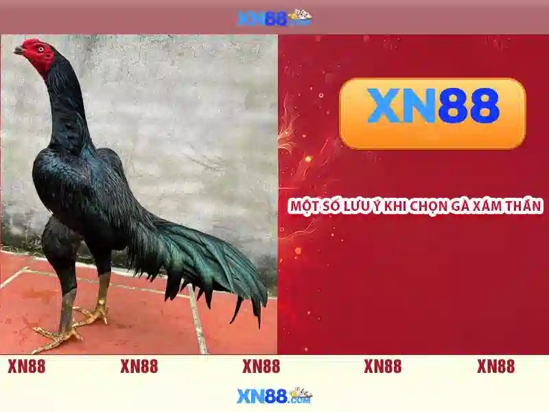 💎hack a slot machine💎