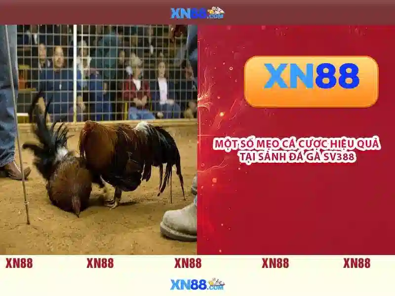 💎hearts of venice slots online💎