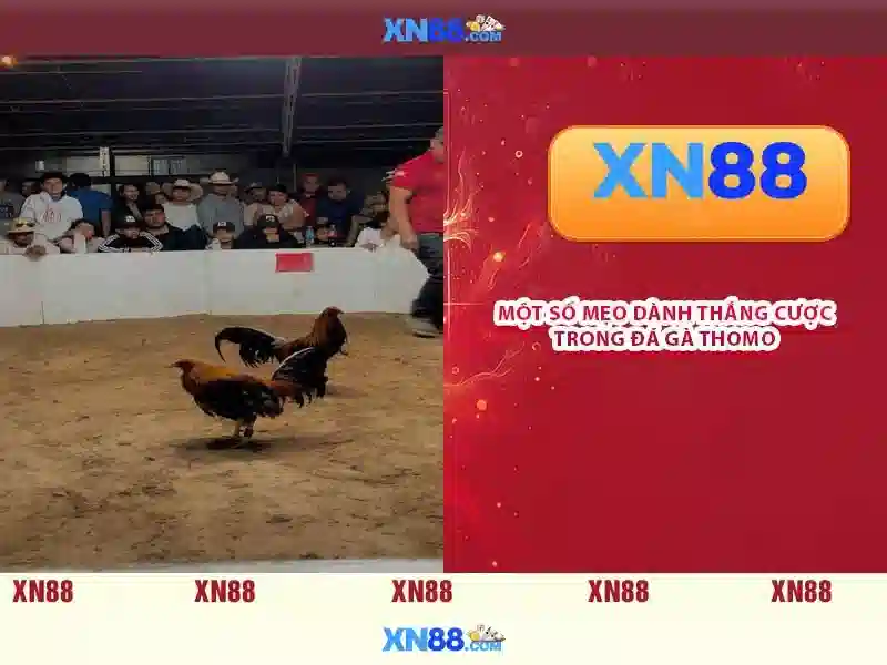 💎huấn luyện viên 888slot slot💎