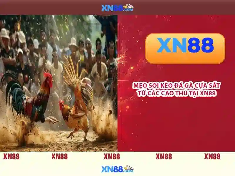 💎nhà cái ngân hà💎