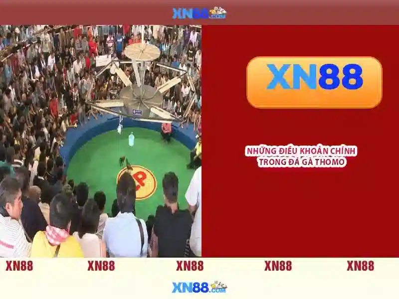 💎nhà xe tám đào cai lậy💎