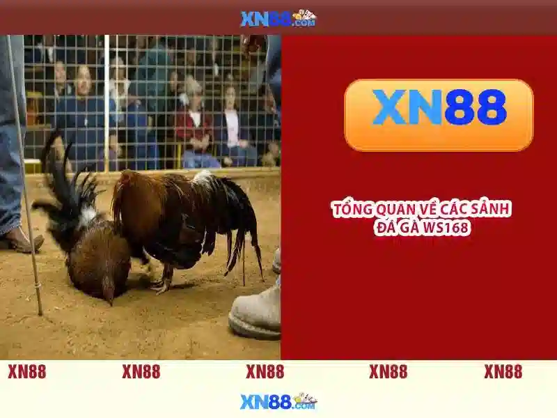 💎888slot slot image💎