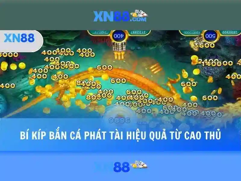 💎thuật ngữ cá cược bóng rổ💎