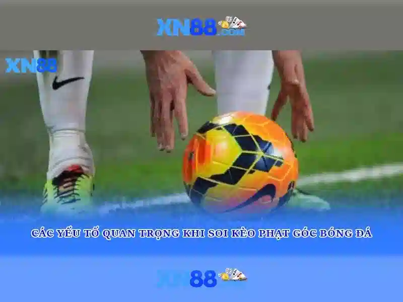 💎ti le ca cuoc bong da chau a💎
