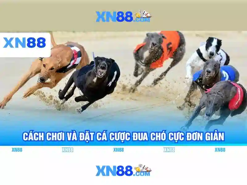 💎berlian 888 slot💎 - anak slot 888 - pg slot game 888