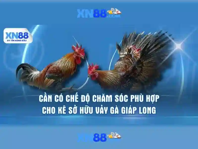 💎888 slot trực tiếp bóng đá💎