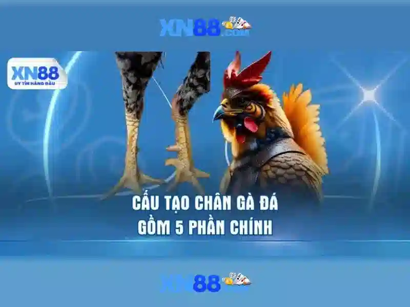 💎link vào nhà cái vn88 mới nhất hôm nay💎