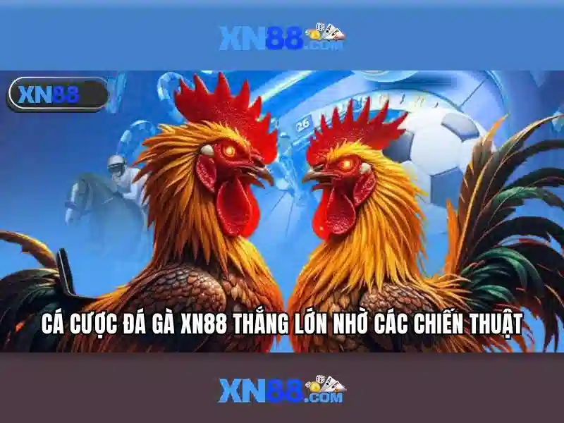 💎tỷ lệ kèo nhà cái 5 euro💎