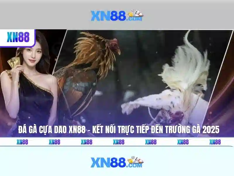 💎kèo nhà cái trước trận💎