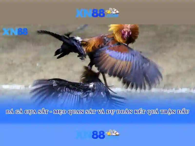 💎có bao nhiêu cầu bắc qua sông hồng💎