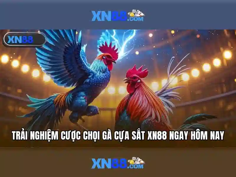 💎nhà cái uy tín 888 vip💎