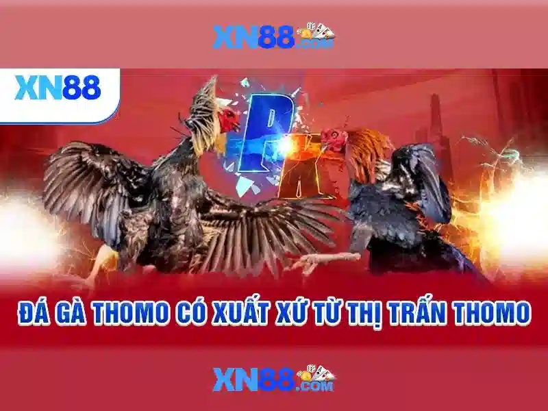 💎cước câu cá nhật chính hãng💎