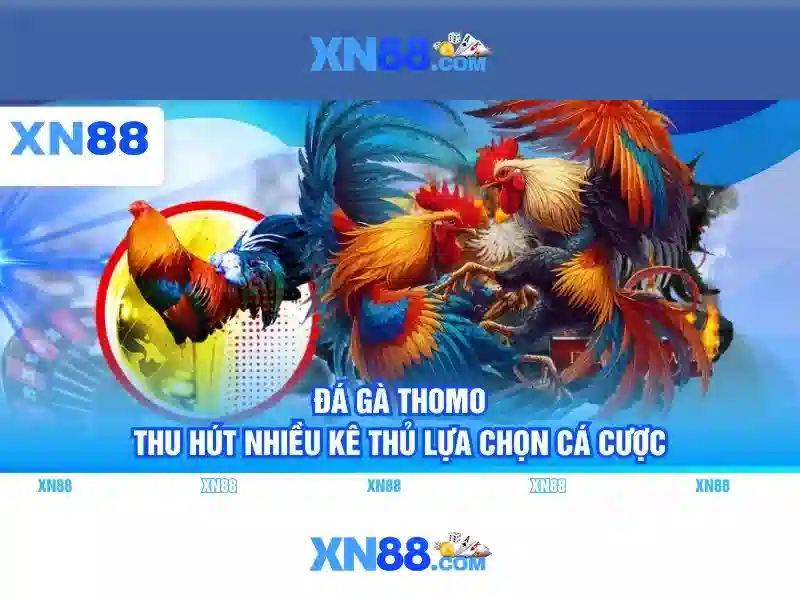 💎hướng dẫn rút tiền sin88💎 - tại sin88 mx - tai sin88