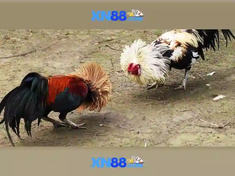 💎888 slot game free💎