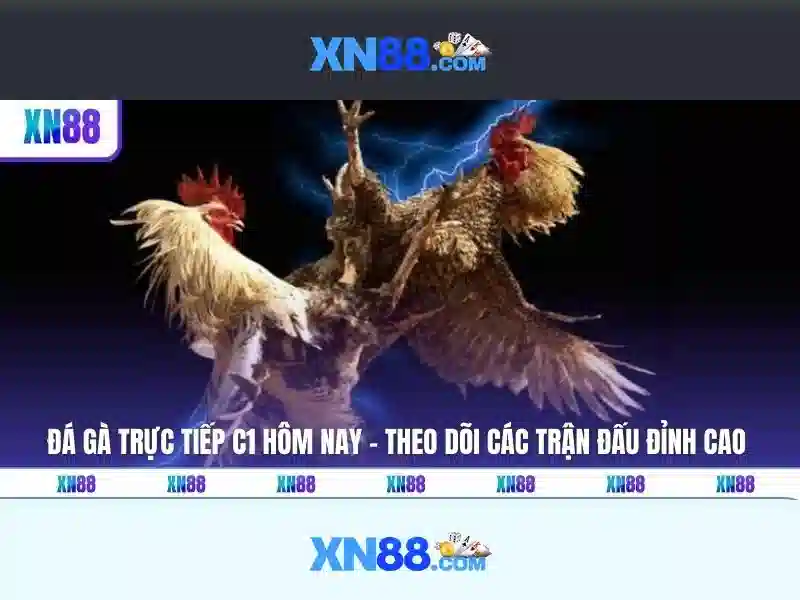 💎funn88 nhà cái💎