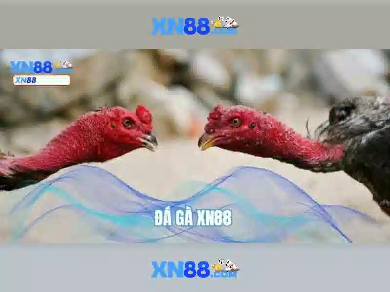 💎casino online free slots live💎